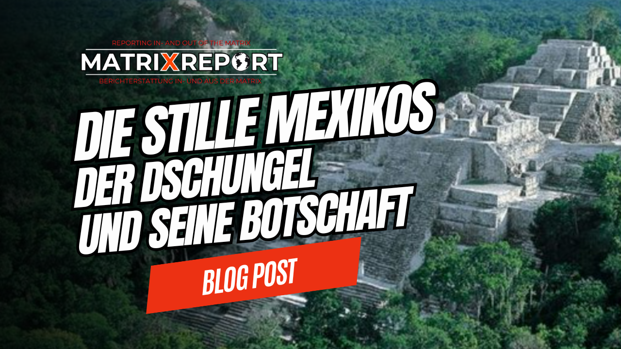 🔑Die Stille Mexikos - Der Dschungel und seine Botschaft