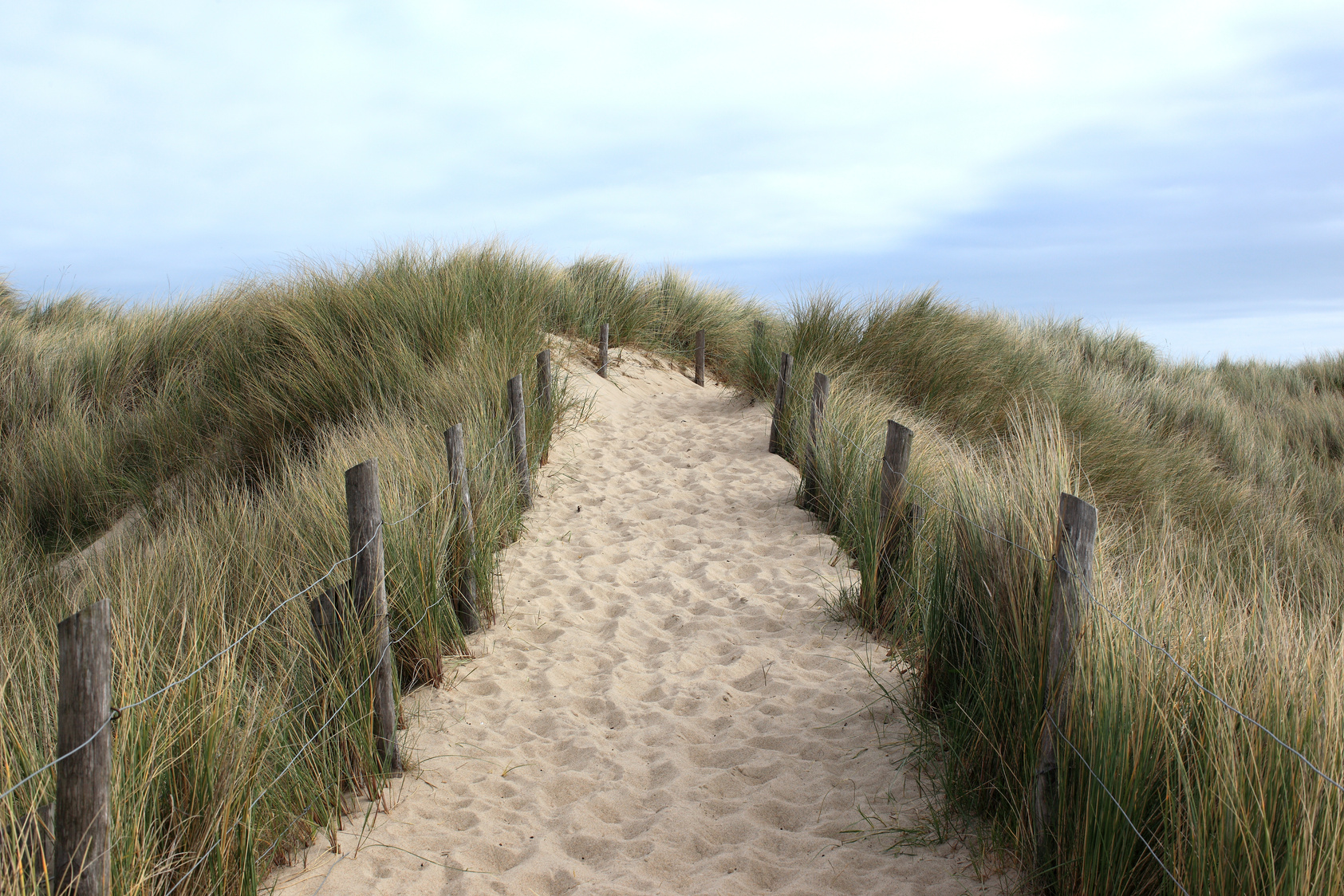 Beach path